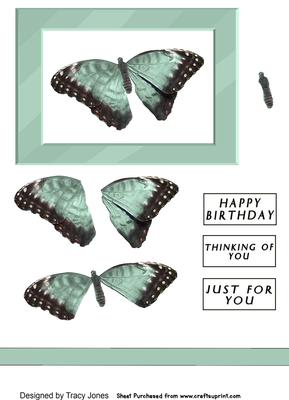 Light Teal Butterfly