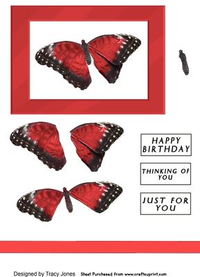 Red Butterfly