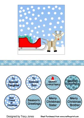 Sleigh and Reindeer