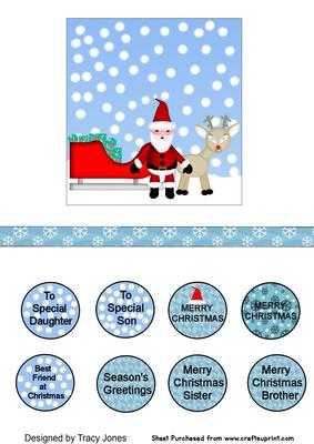 Sleigh and Reindeer with Santa