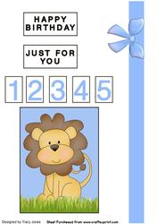 Lion for Boy