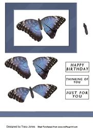 Dark Blue Butterfly