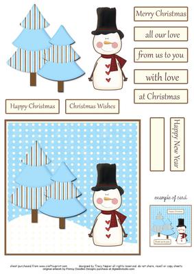 Mr Frosty Quick Card