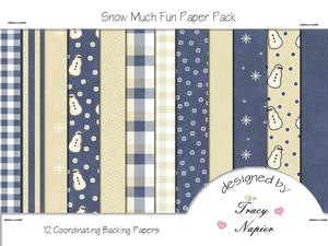 Snow Much Fun Paper Pack