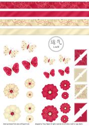 Jia Li Luck Embellishment Set