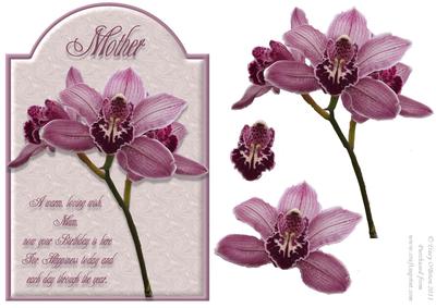 Pink Orchid Birthday