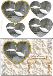 Swan Anniversary Heart