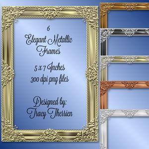 Elegant Metallic Frames