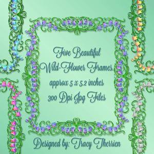 Wild-flower Frames