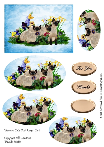 Siamese Cats and Pansies Oval Layer Card Blue
