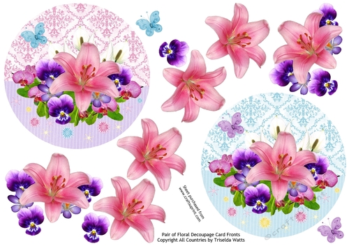 Pair of Floral Decoupage Card Fronts