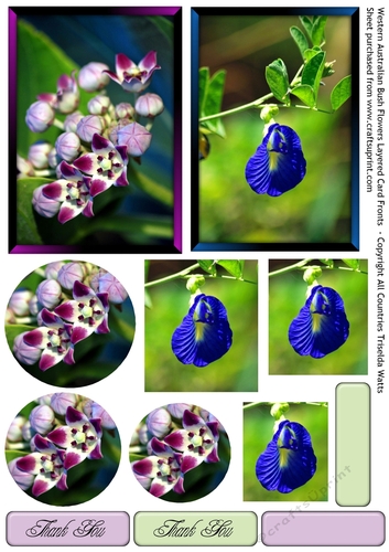 Western Australian Bush Wildflowers Layered Card Fronts 2 in 1