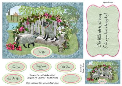 Grey Siamese Cats in Park Quick A5 Card Front