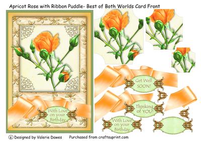 Apricot Rose with Ribbon Puddle - Best of Both Worlds Card