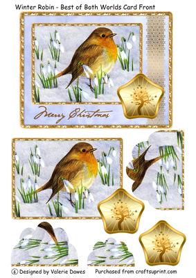 Winter Robin - Best of Both Worlds Card Front