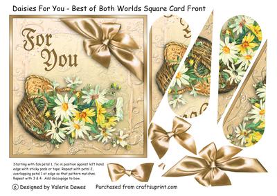 Daisies for You - Best of Both Worlds Square Card Front