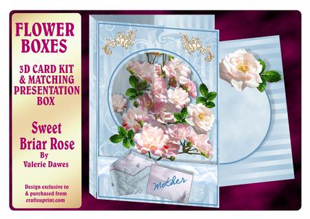 Flower Boxes 3D Card Kit - Sweet Briar Rose