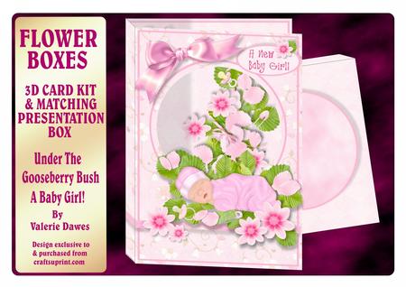 Flower Boxes 3D Card Kit - Under the Gooseberry Bush - Girl!