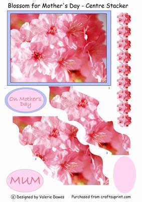 Blossom for Mother's Day - Central Stacker