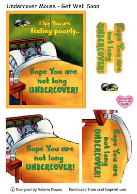Undercover Mouse - Get Well Soon