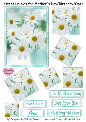 Sweet Daisies for Mother's Day/ Birthday/ Open