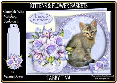 Kittens & Flower Baskets Aperture Mini Kit - Tabby Tina