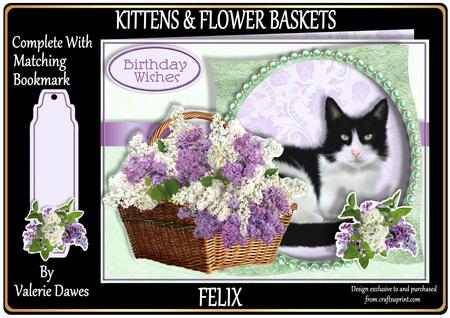 Kittens & Flower Baskets Aperture Mini Kit - Felix
