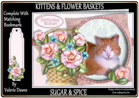 Kittens & Flower Baskets Aperture Mini Kit - Sugar & Spice