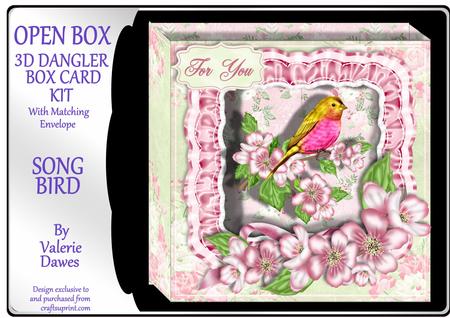 Open Box 3D Card Kit - Songbird