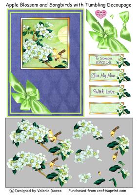 Apple Blossom and Songbirds with Tumbling Decoupage