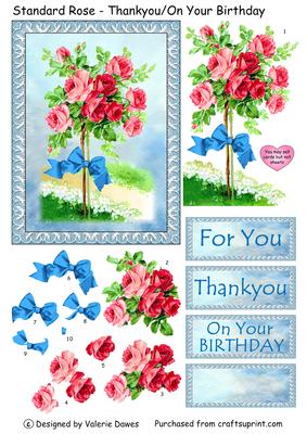 Standard Rose - Thankyou/on Your Birthday