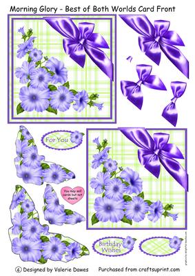 Morning Glory - Best of Both Worlds Card Front