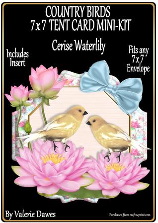Country Birds 7x7 Tent Card Mini-kit - Cerise Waterlily