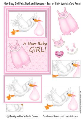 Baby Girl Pink Stork & Romper-best of Both Worlds Card Front