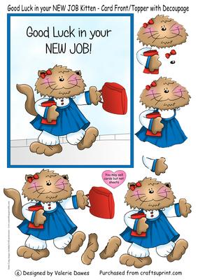 Good Luck with Your New Job-front/topper with Decoupage