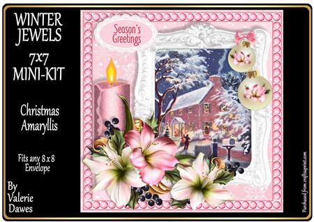 Winter Jewels Christmas Amaryllis