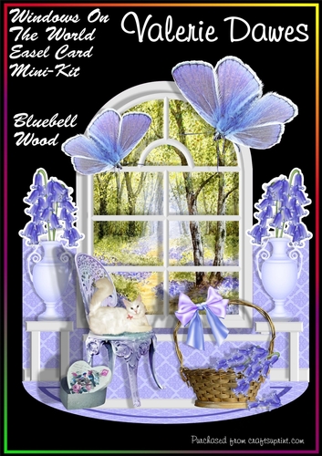 WINDOWS ON THE WORLD - Bluebell Wood
