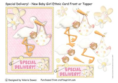 Special Delivery! - New Baby Girl Ethnic Card Front
