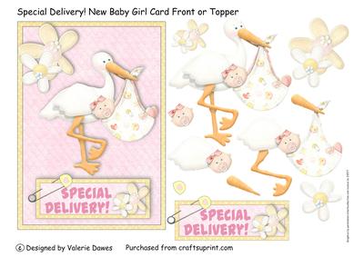 Special Delivery! - New Baby Girl Card Front