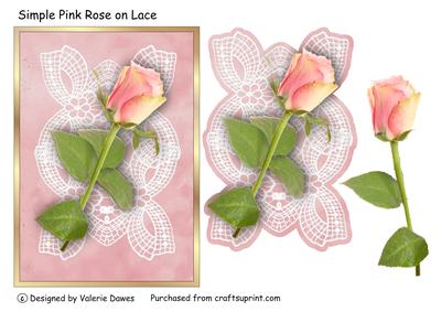 Simple Pink Rose on Lace