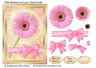 Pink Gerbera on Lace Card Front
