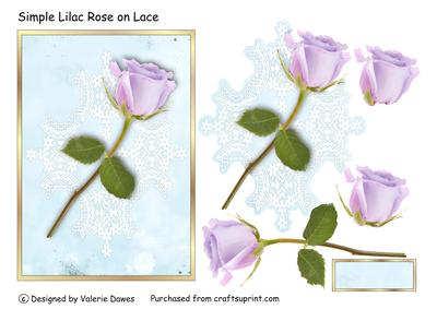 Simple Lilac Rose on Lace