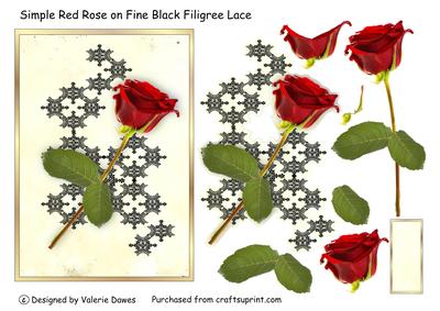 Simple Red Rose on Fine Black Filigree Lace