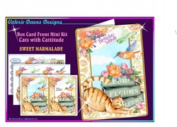 Cats With Cattitude Mini Kit - Sweet Marmalade