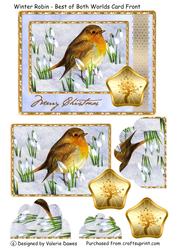 Winter Robin - Best of Both Worlds Card Front