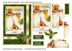 Winter Robin's Breakfast - Best of Both Worlds Card Front