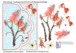 Pink Salvias - Scalloped Card Front with Background Edge