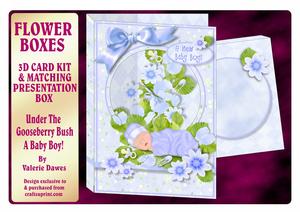 Flower Boxes 3D Card Kit - Under the Gooseberry Bush -a Boy!