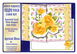 Open Fronts Shape-fold Card Kit - Apricot Rose