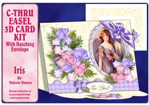 C-thru Easel 3D Card Kit - Iris